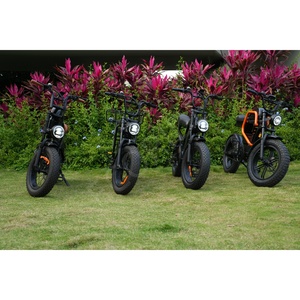Bicicleta Eléctrica con Llantas Gruesas para Adultos, Envío desde Almacén en EE. UU., Europa y Australia, Ecoride V7 Maxebike V20 Eléctrica 250w R V7 Maxebi - Product Image 4