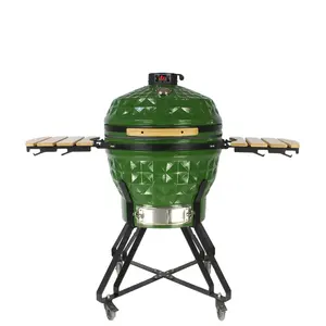 Wegwerp Propaan Outdoor Houtskool Houtskool En Gas Bbq Grill