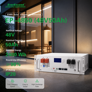 Pengisian Cepat 48V 50Ah 2400Wh Baterai LiFePO4 Rakit di Rak dengan BMS Terintegrasi untuk Penyimpanan Energi Surya Rumah PV UPS Baterai Lithium 6000 - Product Image 1