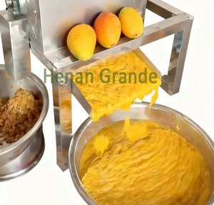 Máquina Industrial para Pulpar Frutas y Verduras, Máquina para Hacer Pulpa de <span class=keywords><strong>Mango</strong></span> de Acero Inoxidable SUS 304, Máquina Exprimidora de Pulpa de Frutas - Product Image 6