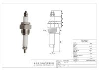Sonde de capteur de niveau d'eau à vapeur de chaudière miniature en acier inoxydable SS304 avec filetage G3/8\"