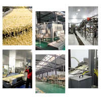 Commerciële productielijn voor frites, gasverwarmde friteuse, continue aardappelchipsfabriek, arbeidsbesparende automatische verpakking