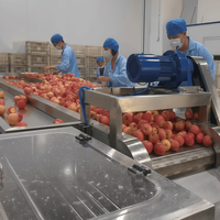 Turnkey volautomatische appelsap productielijn met CIP-reiniging en UHT-sterilisatie