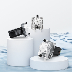 <span class=keywords><strong>Pompe</strong></span> péristaltique de dosage de boissons LEFOO CE à haut débit 2350 ml/min, moteur 24 V CC, pour la distribution de sirop, machines de distribution de boissons - Product Image 3