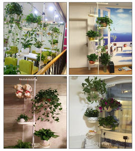 Venta Directa de Fábrica: <span class=keywords><strong>Perchero</strong></span> de Ropa con Diseño Floral, Almacenamiento Hermoso y Segmentado, Embalaje Pequeño Estándar - Product Image 5