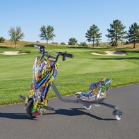 Trottinette Drift avec système Bluetooth à son clair, conception compacte, vitesse sécurisée pour le jeu, autonomie complète pour les sorties en extérieur