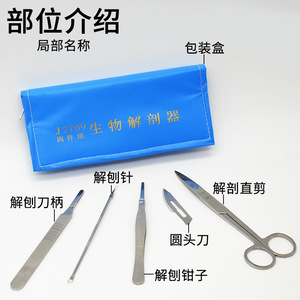 Juego de disección biológica (4 piezas) Herramientas de laboratorio, herramientas para preparación de muestras, kit de disección (4 piezas) - Product Image 5