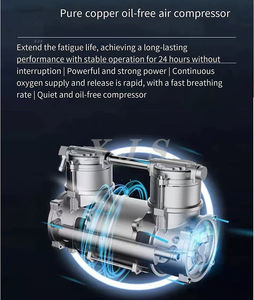 Étang à poissons générateur d'oxygène générateur d'oxygène 3L 5L 10L <span class=keywords><strong>tour</strong></span> d'adsorption générateur d'oxygène à l'ozone accessoires zéolite moléculaire - Product Image 4