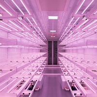 Système d'agriculture verticale hydroponique Smart Farm Grow, conteneur maritime de 40 pieds, serre pour plantes médicinales, herbes, laitue