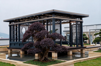 Pergola en aluminium de style chinois, pavillon de jardin extérieur, gazebo en alliage d'aluminium, toit incurvé, imperméable, pour patio, cour arrière