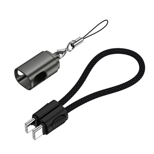 Câble <span class=keywords><strong>de</strong></span> charge rapide USB-C vers USB-C PD60W avec logo personnalisé, câbles <span class=keywords><strong>de</strong></span> données Type-C, porte-clés, dragonne, cadeau promotionnel - Product Image 2