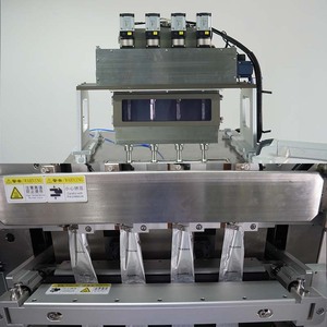 Automatic Multi Lane 2g 5g Flour Pepper Curry Chili Rosemary Seasoning Spices Powder Pouch Packaging Machine - Product Image 5