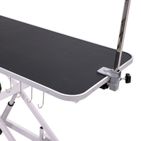 Table de toilettage de chien de levage électrique direct d'usine équipement de toilettage pour animaux de compagnie écologique de luxe Offre Spéciale pour salons d'animaux de compagnie