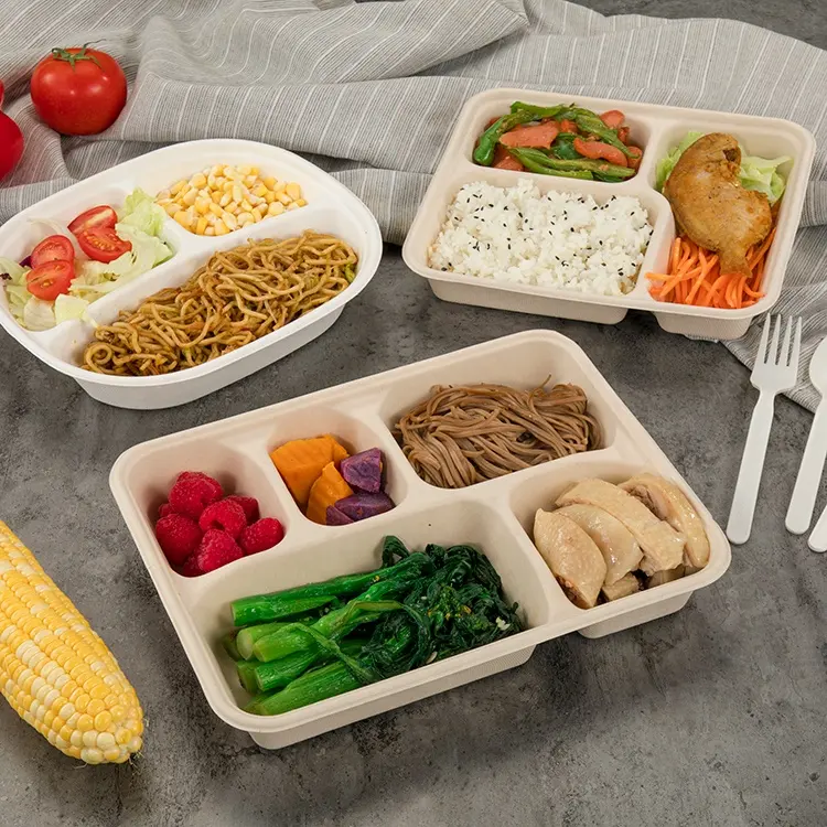 LOKYO eco friendly takeout food storage container meal tray plate compartment disposable biodegradable lunch box