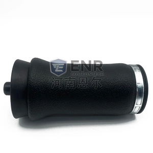 Amortiguador Enr Cushiontech 1101-0043 WO2-358-7087 SC29-WO87 para reemplazo en camiones MACK - Product Image 1