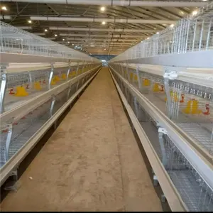 Vendita calda automatico a gabbia a strati sistema gabbia per polli