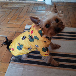 Chaleco de Invierno para Mascotas, de Algodón y Poliéster, con Estampado Ecológico, Cortavientos, Ropa Abrigada para Perros y Gatos, Chihuahua, Shih Tzu, Yorkies - Product Image 2