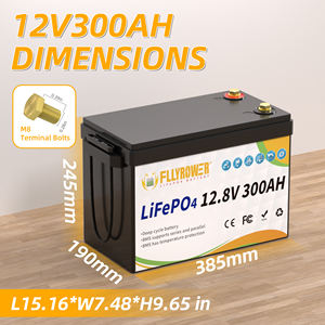 Noi Fllyrower 12.8V 300Ah LiFePO4 batteria agli ioni di litio batteria integrata BMS batteria ricaricabile 12.8v 300Ah - Product Image 6