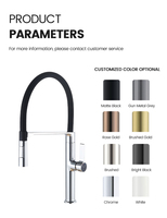 SANIVITAL Keran Dapur Modern Magnetik Berlapis Seng Tembaga Chrome dengan Semprotan Tarik-Turun dan Tuas Tunggal OEM Mall