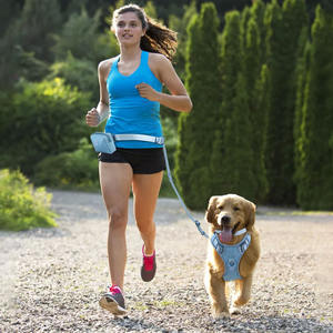 ODM अनुकूलन लोगो समायोज्य सांस फैशन सरल आसानी हाथ नि: शुल्क पट्टा के साथ Neoprene कुत्ते दोहन - Product Image 6