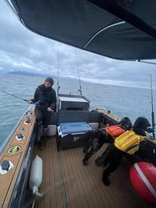 <span class=keywords><strong>Bateau</strong></span> chinois 9m style <span class=keywords><strong>de</strong></span> vie <span class=keywords><strong>bateau</strong></span> <span class=keywords><strong>de</strong></span> pêche en Aluminium, cabine Cruiser <span class=keywords><strong>bateau</strong></span> en Aluminium à vendre allemagne - Product Image 4