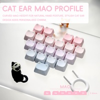 XVX Lumicat Keycaps, profil MAO, imprimé sur le côté, transparent, ensemble de 113 touches