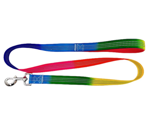 Ganchos de liberación rápida hermosos de diseño novedoso de alta calidad, correas de nailon, Correa inteligente para mascotas para perro - Product Image 1