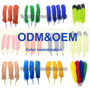 Nhuộm Màu Đen Màu Xanh Trắng Nguyên Liệu Đầy Màu Sắc Số Lượng Lớn Hoa Plumas Tự Nhiên Chim Cánh Điểm Lông Lông Đuôi Thổ Nhĩ Kỳ Lông Để Bán Hat Trang Trí - Product Image 6
