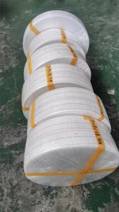 Cinta transportadora de polipropileno de 100 mm para la recolección de huevos en granjas avícolas, jaulas de gallinas ponedoras, recolección automática - Product Image 5