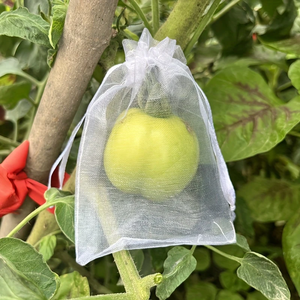 Borsa a rete per protezione vegetale con <span class=keywords><strong>maniche</strong></span> a rete sacchetti a rete Mini <span class=keywords><strong>Organza</strong></span> con coulisse sacchetti regalo per piante e fiori fioriere e vasi di fiori - Product Image 1