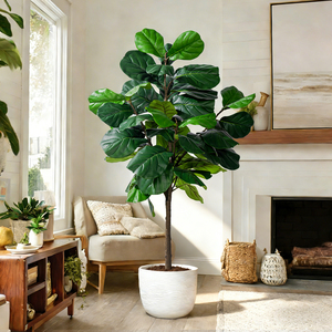 Árbol de Ficus Artificial Detallado en Maceta con Tronco de Plástico para Proyectos de Diseño de Interiores y Vestíbulos - Product Image 2