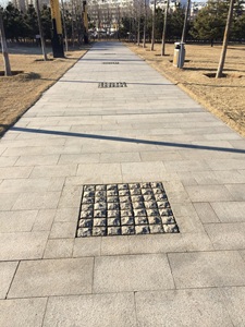 Pavés d'allée ronds <span class=keywords><strong>de</strong></span> granit chinois moderne <span class=keywords><strong>de</strong></span> nature avec la conception spéciale <span class=keywords><strong>de</strong></span> modèle - Product Image 6