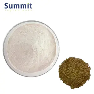 High Quality Rice Powder Oryza Sativa Powder Bran Rice Powder