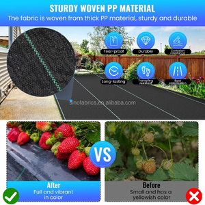 Bâche anti-herbe OPPE largeur extra-large à prix d'usine, film transparent laminé, imperméable et anti-UV <span class=keywords><strong>pour</strong></span> couverture de serre et de chantier - Product Image 5
