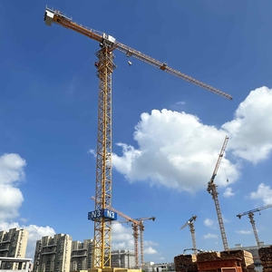 Precios de Fábrica Grúa Torre de Construcción China Usada de 60m con Base Fija, Motor y Caja de Cambios, Capacidad de 10t, en Perfecto Estado - Product Image 1