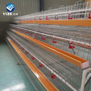 Poussins de chair d'un <span class=keywords><strong>jour</strong></span> de Chine à vendre en Afrique / Équipement d'élevage avicole pour poules pondeuses - Product Image 2