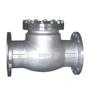 Valvola di ritegno a battente in acciaio inossidabile H44W 16P per sistemi di trattamento acqua - Product Image 1