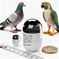 Localizador BT Mini Impermeable IP67 de 2.2g, Dispositivo Antipérdida para Mascotas, Aves y Loros