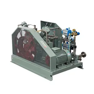 Wobo hava kompresörleri 24 ~ 280L Argon karbon dioksit biyogaz için yüksek basınç gaz kompresörü güçlendirici fiyat