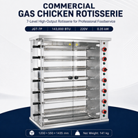 Rôtissoire Commerciale Double Alimentation Gaz-Électrique, Capacité 48 Poulets, 8 Brochettes, Acier Inoxydable 304