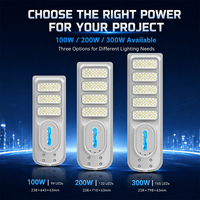 Lampes solaires à économie d'énergie pour extérieur, étanches IP65, 100W 200W 300W, panneau solaire intégré ABS, tout-en-un, lampadaire solaire LED