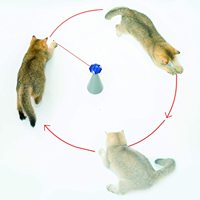 Jouet Laser interactif pour chat, pointeur Laser rotatif automatique pour chats, jouets électroniques, Mode 3 vitesses, Laser automatique