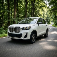 Véhicule électrique compact de luxe en gros, SUV à longue autonomie, 4 roues motrices, véhicule à énergie nouvelle pour adultes, idéal pour les trajets urbains