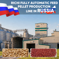 Ligne de mélange et de granulation d'aliments RICHI Russie - Machine de fabrication de granulés d'aliments pour volailles de haute qualité, ligne complète de production d'aliments pour bétail