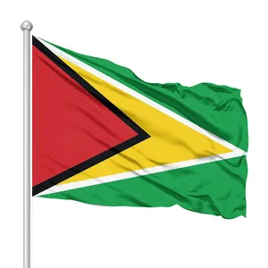 Promotional Product hot sale 3x5ft 100%polyester Guyana flags outdoor decorative custom Guyana flag