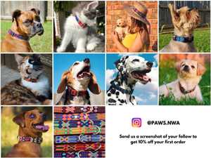 I Paws NWA คอลเลกชันสายจูงหนังเม็กซิกันที่ทำด้วยมือทำจากสเตนเลสสตีลของขวัญสำหรับสุนัข - Product Image 5