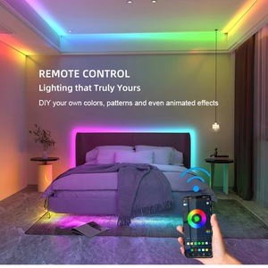 Prix de gros IP65 24V Smart RGB <span class=keywords><strong>Neon</strong></span> Lights Décoration Éclairage avec télécommande vocale Flexible Rainbow <span class=keywords><strong>Neon</strong></span> Lamp - Product Image 2
