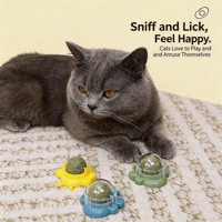 Jouet interactif pour chat en forme d'abeille, rotatif, avec herbe à chat et argentier, pour chatons et chats adultes