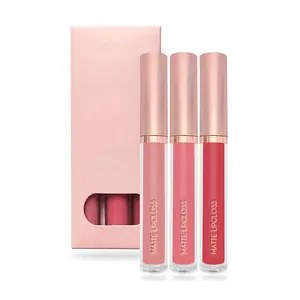 Europa En Amerika Hete Verkoop Sexy Vloeibare Lippenstift Set Matte Kleur Waterdichte Fluwelen Lipgloss Private Label