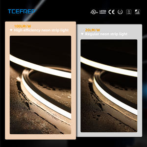 Tira de LED de Neón de Luz Suave 1010 para Aplicaciones en Interiores, Diseño Lineal Moderno - Product Image 3